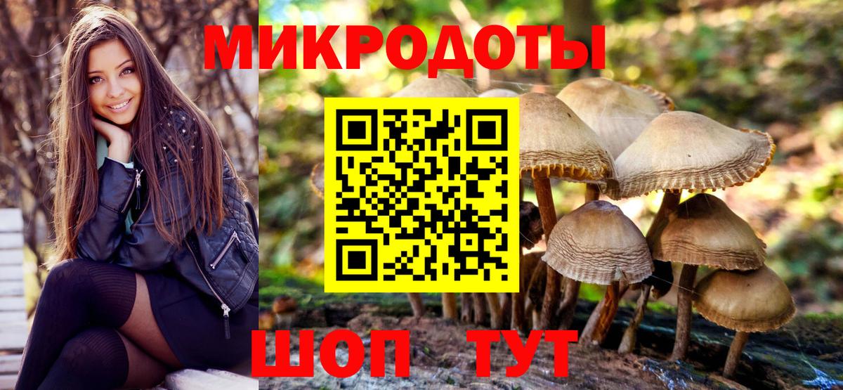 Уссурийск  Псилоцибиновые грибы мухоморы  Вход с VPN  Псилоцибиновые грибы Psilocybe 