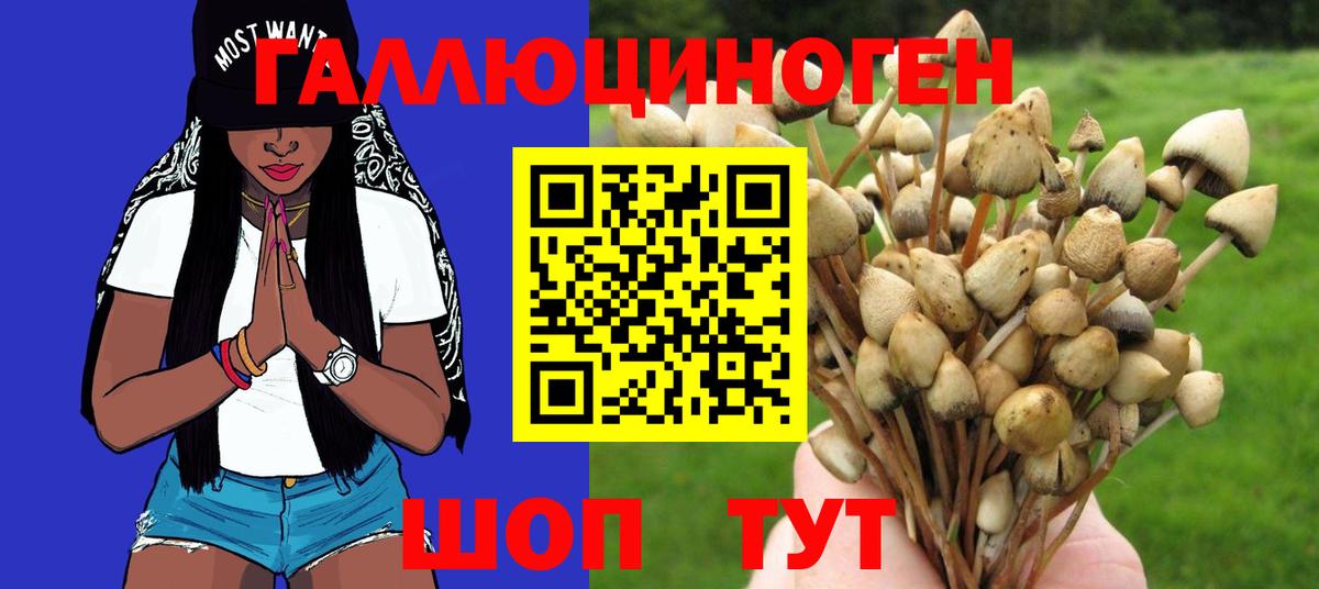 Галлюциногенные грибы прущие грибы Уссурийск
